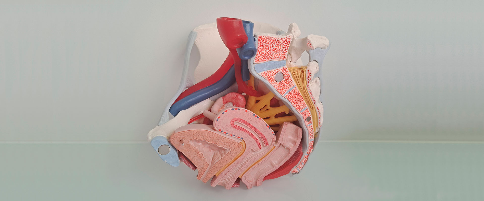 Suelo Pélvico Clínica Lenira